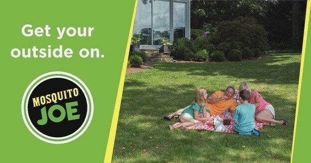 Diy Concept Lawn And Order