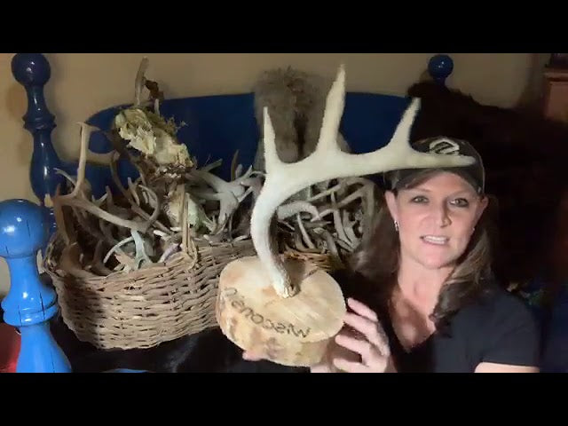 DIY ANTLER JEWELRY/HAT HANGER