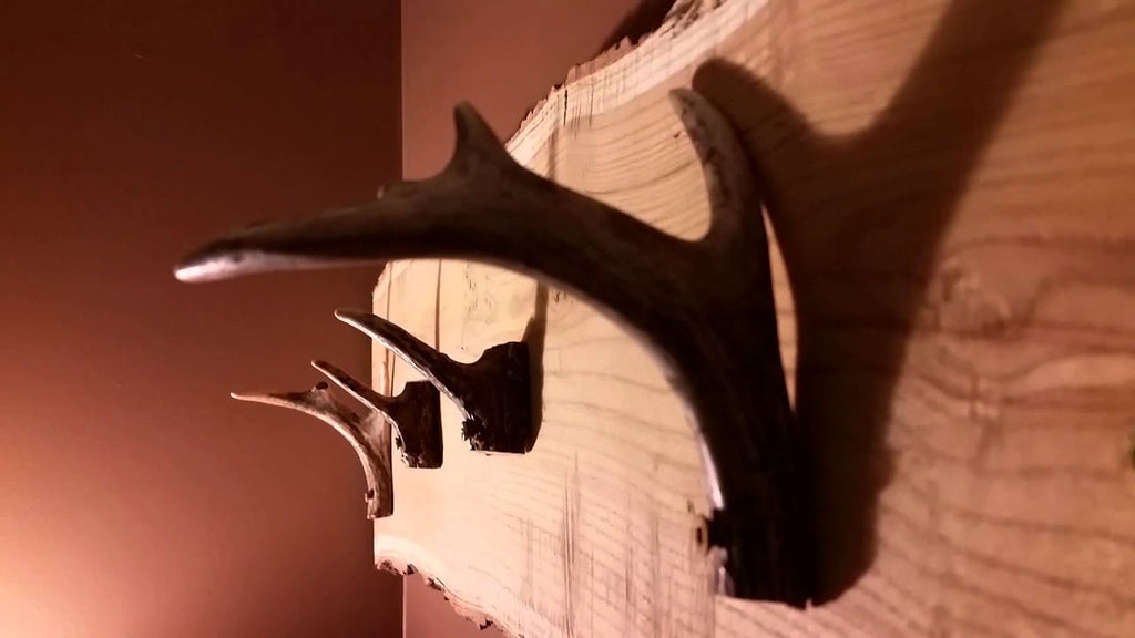 Ok here is part two, had to rush it and wasn't able to get it done the way I wanted to