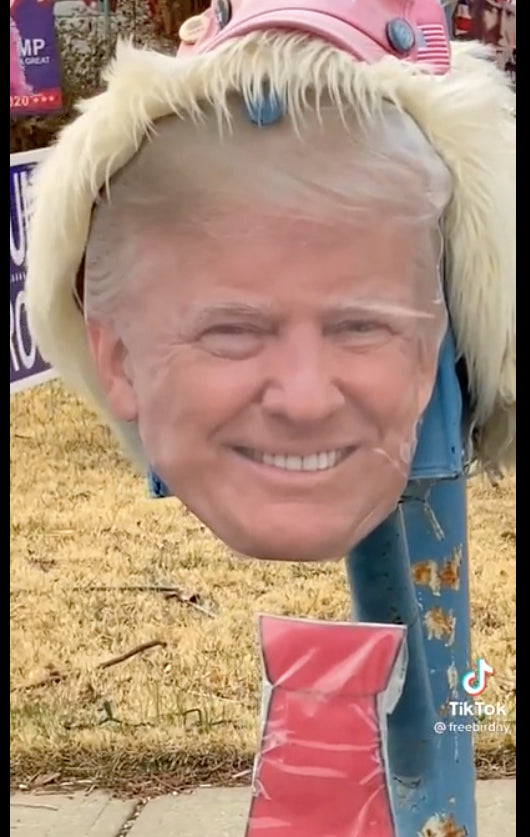 Long Island Trump yard shrine "just straight up uncomfortable" to look at
