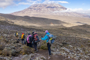 Kilimanjaro Hiking: Ascending Towards the Adventure of a Lifetime