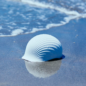 Shellmet is a helmet for fishing workers made from waste scallop shells