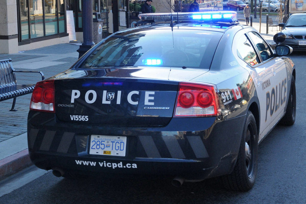 Victoria woman attacked while taking photo of dog